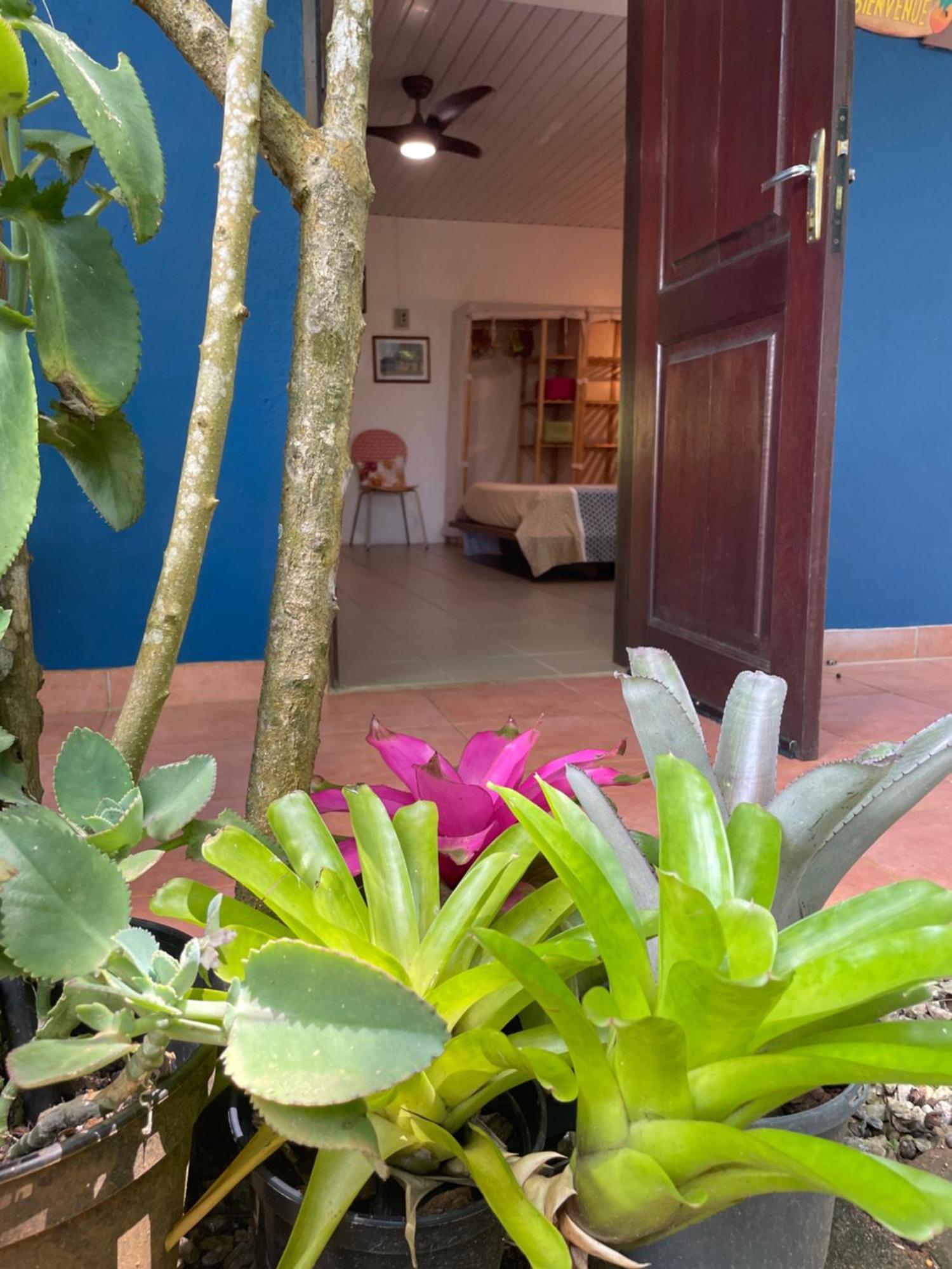 Ti Kaz Dan Bwa Apartment กาแยน ภายนอก รูปภาพ